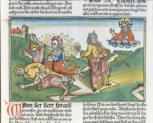 Êxodo 9 8-12 As Sete Pragas do Egito: Moisés e a praga dos furúnculos, da Bíblia de Nuremberg (Biblia Sacra Germanaica) (xilogravura colorida) de German School