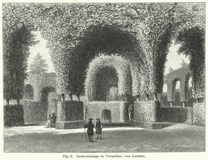 Desenho do jardim: árvores nos jardins de Versailles, França, desenhadas por Andre le Notre no século XVII (gravura) de German School