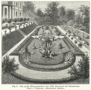 Desenho de jardim: grande parterre em Monrepos, propriedade do banqueiro e astrônomo amador Heinrich Eduard von Lade, Geisenheim, Alemanha (gravura) de German School