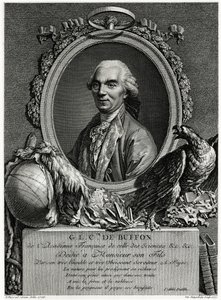 George Louis Leclerc Conde de Buffon de German School