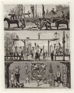 Ginástica e acrobacia (gravura) de German School