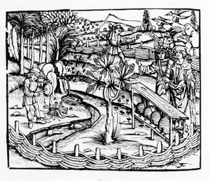 Maridos felizes tendendo abelhas, ilustração do Georgics por Virgil, livro IV, de Sebastian Brants (1457-1521) edição, publicado em 1502 de German School