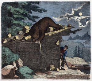 Caçador a querer matar o urso da floresta alpina. Em "Wenn Jemand eine Reise thut, so kann erzahlen" (Quando alguém viaja, isto é o que ele pode dizer), conto alemão de Franz Wiedemann de German School