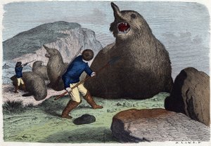 Caçadores que combatem elefantes marinhos. Em "Wenn Jemand eine Reise thut, so kann erzahlen" (Quando alguém viaja, isto é o que ele pode dizer), conto alemão de Franz Wiedemann de German School