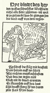 Ilustração do conto do herói romântico Wolfdietrich, publicado por Hans Schoensperger em Augsburg, em 1491 (gravura) de German School