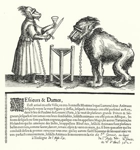 Convite para uma exposição de macacos e macacos (gravura) de German School