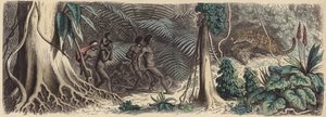 Jungle in Brazil (gravura colorida) de German School