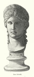 Juno Ludovisi, antiga cabeça de mármore romana colossal representando Antonina Minor, filha de Marco António e Octávia Minor, como a deusa Juno (gravura) de German School
