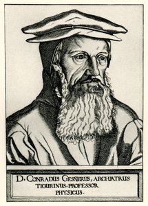 Konrad Gesner de German School