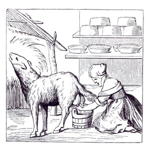 Fabricação de queijos na Suíça, após uma xilogravura na Cosmographie Universelle de Munster, publicado em 1549 de German School