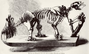 Megatherium Skeleton no Museu Britânico de German School