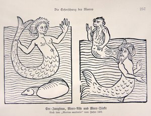 Mermaid e Merman do "Hortus Sanitatis" de Jacob Meydenbach de German School