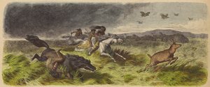 Nativos americanos e animais fugindo de um incêndio na pradaria (gravura colorida) de German School