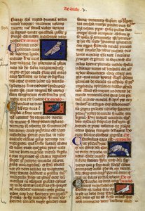 Página do De Natura Rerum sobre aves, de Albertus Magnus (cerca de 1200-1280) de German School