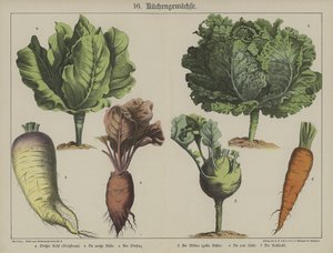 Plantas de German School