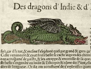 Representação de um dragão da Índia. Xilografia tirada da Cosmografia Universal de Sebastien Munster. Bale de German School