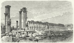 Ruínas da cidade de Palmyra, Síria (gravura) de German School