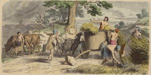Vida rural na Grécia Antiga (gravura colorida) de German School