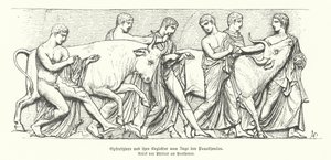 Animais de sacrifício na procissão grega antiga do Panathenaia (gravura) de German School