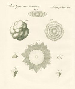 Estranhas pedras de granizo (gravação colorida) de German School