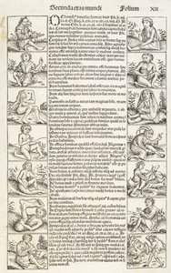 "Pessoas e criaturas estranhas", ilustração de "Liber chronicarum". Registrum hujus operis libri cronicarum...