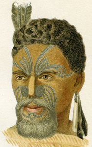 Rosto tatuado de um chefe maori, 1894 de German School