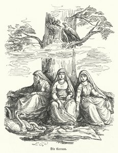 As Nornas, seres femininos da mitologia nórdica (gravura) de German School