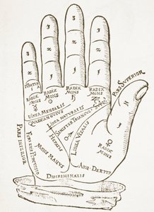 A mão direita, cópia de uma ilustração de Cerasariensis por Tricassus, Nuremberg 1560, usada em uma História da Magia, publicada no final do século XIX. de German School