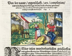 Os usos curativos e terapêuticos do mel na medicina, ilustração de um tratado alemão sobre medicamentos publicado em Estrasburgo em 1573 (xilogravura colorida) de German School