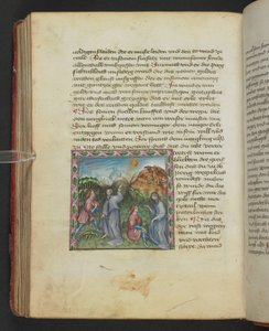 Ulrich von Pottenstein, The Book of Natural Wisdom, Egerton MS 1121 f.114v, c.1430 (tinta e cor sobre pergaminho) de German School