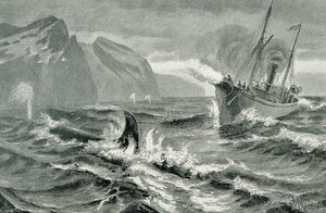 Usando um arpão de um barco a vapor rápido de German School
