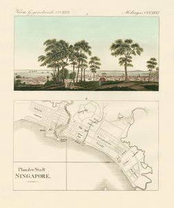 Vista e mapa do estabelecimento das Índias Orientais em Singapura (gravura a cores) de German School
