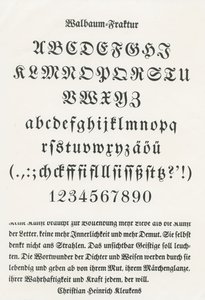 Fratura de árvore de baleia de German School