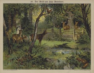 Vida selvagem (cor litho) de German School