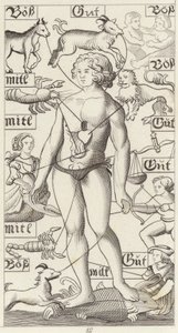 Homem do Zodíaco. Ilustração para Bilder-Atlas (gravura) de German School