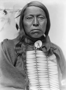 Chefe dos Sioux Flying Hawk, c.1900 de Gertrude Käsebier