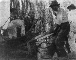 Três operários. Fotografia mostrando três operários afro-americanos a trabalhar. (ca. 1900) Por Gertrude Kasebier