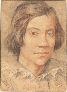 Retrato de um jovem de Gian Lorenzo Bernini