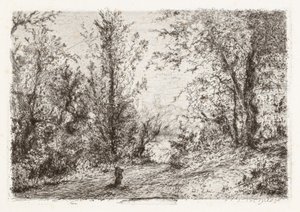 Floresta no Lago Maggiore [Floresta no Lago Maggiore] de Giberto Borromeo