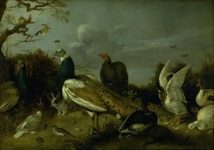 Pavões, patos e outros animais de Gijsbert Gillisz. de Hondecoeter