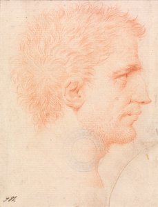 Cabeça de um homem com barba de teimoso, virada para a direita de Giles Hussey