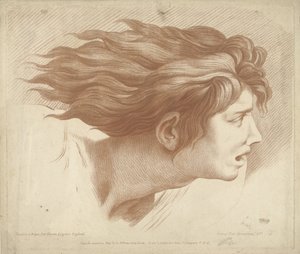 Cabeça de homem com cabelo solto
