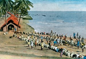Refeição comunal da aldeia, Ilhas Andaman e Nicobar, Oceano Índico, c1890