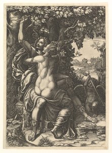 Angélica e Medoro, o casal se abraçando, Medoro gravando seus nomes na casca de uma ..., ca. 1570 de Giorgio Ghisi