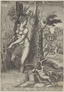 Vénus e a rosa de Giorgio Ghisi