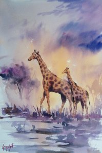 Girafas ao pôr-do-sol africano de Giorgio Gosti