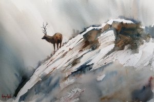 Alces nas montanhas no inverno de Giorgio Gosti
