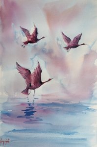 Graciosas aves cor-de-rosa de Giorgio Gosti