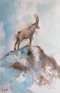 Majestoso íbex alpino de Giorgio Gosti