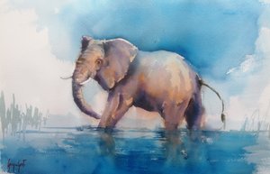 Elefante majestoso a atravessar a água